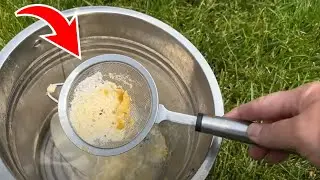 How To Keep Deer Away From Flowers And Gardens! Liquid Fence Copycat Deer Repellant!
