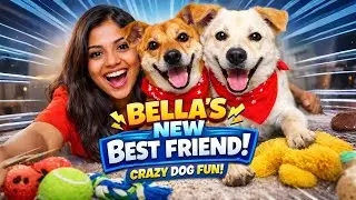 Cute Dog's Playing with Fun at home 🥰!Bella ki Best Friend Ban Gai 😘