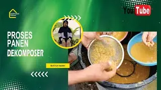 Proses Panen Dekomposer Tanah || Bahan Alami Memperbaiki Mutu Tanah #ayomenanam