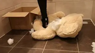 High heel fantasy; make sure Teddy is ready for shipping