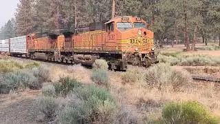 BNSF 5081 SB I Smokey afternoon on the Oregon trunk sub