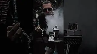 Псы прутся от Sir🐼 #smoke #кальян #хулиган #hookah #shisha #art #nuahule #rap #funny