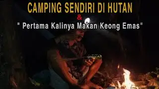 SOLO CAMPING IN THE FOREST HUNTING GOLD CONCH AND MAKES SATE ❗ #solocamping #bushcraft