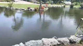 How to Stop and Prevent Pond Erosion