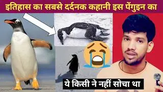 पेंगुइन ने झुंड क्यों छोड़ा ? 2007 Antarctica Documentary Explained । Penguin But WHY ।Viral Penguin