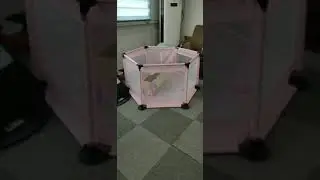 MB149 Mainan Anak Pagar Tenda Bayi 6 Sisi 10pcs Bola / Pagar Pengaman Bayi Pagar Bermain Baby Fence