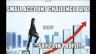 Small Account Challenge Day 2   with Warrior X