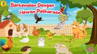 Berkenalan dengan Hewan Peliharaan || Mengenal Nama Nama Hewan Peliharaan - Belajar Setelah Bermain
