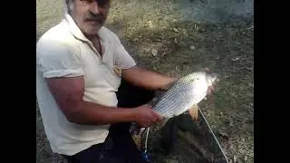 essa era bruta - #fisgada #peixao #fishon #goiasrecord #fishingvideo