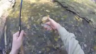 114. Small Stream and Bushcraft Lunch -- May 1, 2015