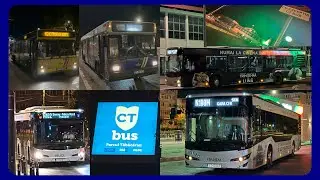 LINIILE DE NOAPTE DIN MUNICIPIUL CONSTANȚA