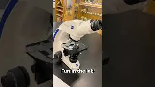 A Day in the Life at MacEwan