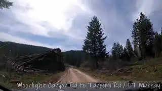 Moonlight Canyon Road to Taneum Road (music video) / LT Murray Wildlife Area [NATURE]