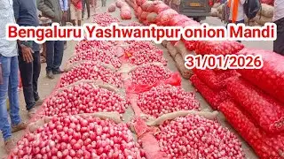 Today onion rate Bengaluru Yeshwantpur onion market rate down ya aup