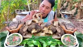 Amazing Cooking Intestine boiled Beef With Prohok Sauce recipe -Mukbang intestine Beef  boiled
