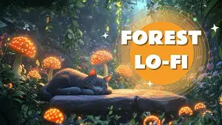 Forest Lo-Fi 🌲 | Peaceful Beats for Reading, Writing & Reflection | Study, Work, and Rest