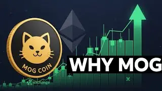 Mog Coin vs Wiki Cat: The Battle of Ethereum and BNB Tokens