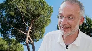 COSA FARE CONTRO IL CALDO? RICOPRIAMO LE CITT&Agrave; DI PIANTE | Stefano Mancuso