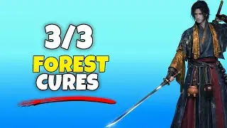 Where Winds Meet Obtain Three Mistveil Forest Cures 3/3 Quest Guide