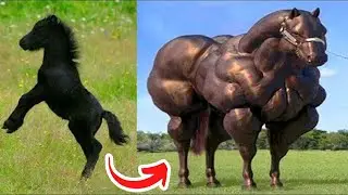 Before & After Animals Growing Up. Amazing Animal Transformation 💥 #short #tiktok #animals