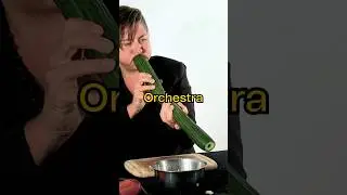 Музыка, созданная только с использованием ОВОЩЕЙ!?