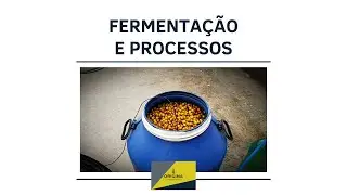 FERMENTAÇÃO DE CAFÉ - SÉRIE ESPECIAL - FERMENTAÇÃO E PROCESSOS