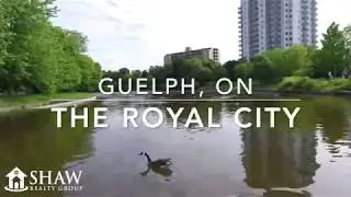 Explore Guelph with Shaw Realty Group