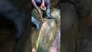 What Kind of Vein is This? 🤯 Is That an Ancient Crystal? | Rockhounding Mystery Uncovered!