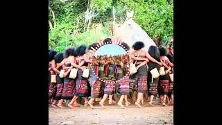 Te:i labu sole rae (2025)