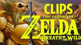 🌌 PERFECT BOTW CLIPS  🌌