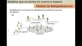 Metapoblaciones