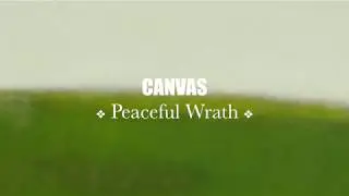 08   CANVAS (video edit)
