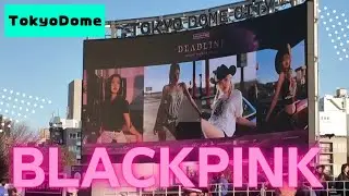 blackpink tokyo dome day3 around the venue