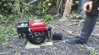 Eberth 6.5hp honda clone petrol engine unboxing and starting overview with sound