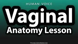 How To Pronounce Vaginal Anatomy Lesson