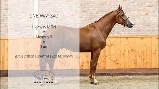 One Way SVO (v.Highway M TN x Mermus R)
