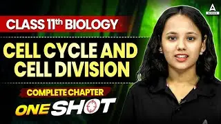 Cell Cycle and Cell Division in One Shot | Class 11th Biology Chapter 10