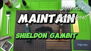 Shieldon Gambit - taking apart and check the inner structure. EDC mini folding cleaver for ourdoors