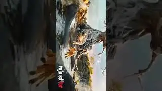 simba cartoon shorts video HD video #varal #viral #motivation #cartton