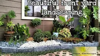 Beautiful Front yard Landscaping Before and after