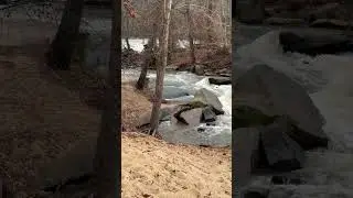 Cedar Falls Park - Reedy River