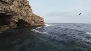 Seacombe Quarry & Cliff Explore, Purbeck, Dorset, UK.