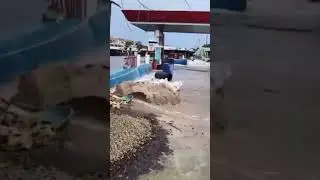 Infrastructure Collapse: Bridges and Roads Destroyed by Indonesian Floods