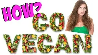 HOW TO GO VEGAN + Our Best Tips!