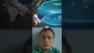 Water Boom 🗿Reaction#726