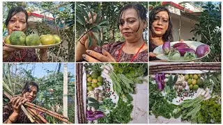Terrace Garden EXPLOSION! Organic Veggies, Fruits & Saag Harvest You Won&rsquo;t Believe! छत पर लगी है फसल