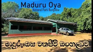 Maduru Oya Circuit Bungalow | මාදුරු ඔය බංගලාව | Maduru Oya National Park | Sri Lanka