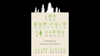 Meet the Author: Katie Holten