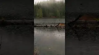 💚Beautiful British Columbia☔Grace Lake💚#natura #jezioro #g&oacute;ry #nature #offroad #camp #canada #shorts