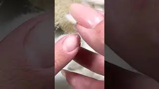 Tip kleben &ndash; darauf solltet ihr achten!